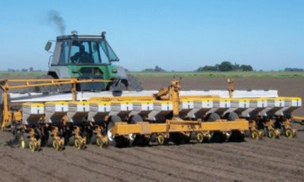 Suben los arrendamientos agrícolas en Córdoba para la campaña 2025/26