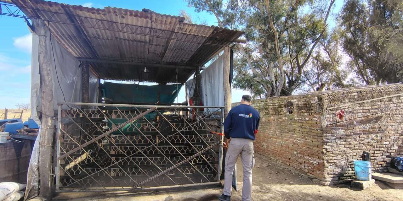 La Provinicia realizó controles por casos positivos de triquinosis en Calamuchita