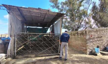 La Provinicia realizó controles por casos positivos de triquinosis en Calamuchita