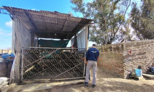 La Provinicia realizó controles por casos positivos de triquinosis en Calamuchita