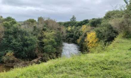 Se puso en marcha «Alpa Corral Verde»