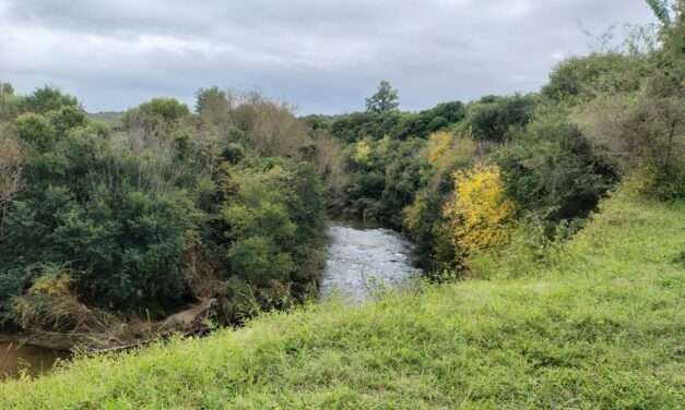 Se puso en marcha «Alpa Corral Verde»