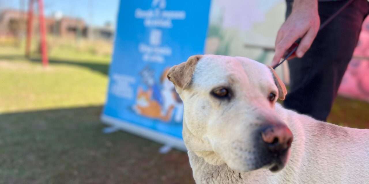 Villa Nueva refuerza la campaña de vacunación antirrábica en los barrios