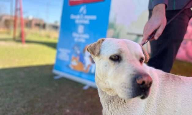 Villa Nueva refuerza la campaña de vacunación antirrábica en los barrios