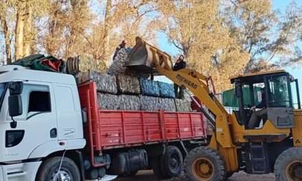 Villa Huidobro: se vendió 10.672 kilos de cartón y pet para su posterior reciclaje