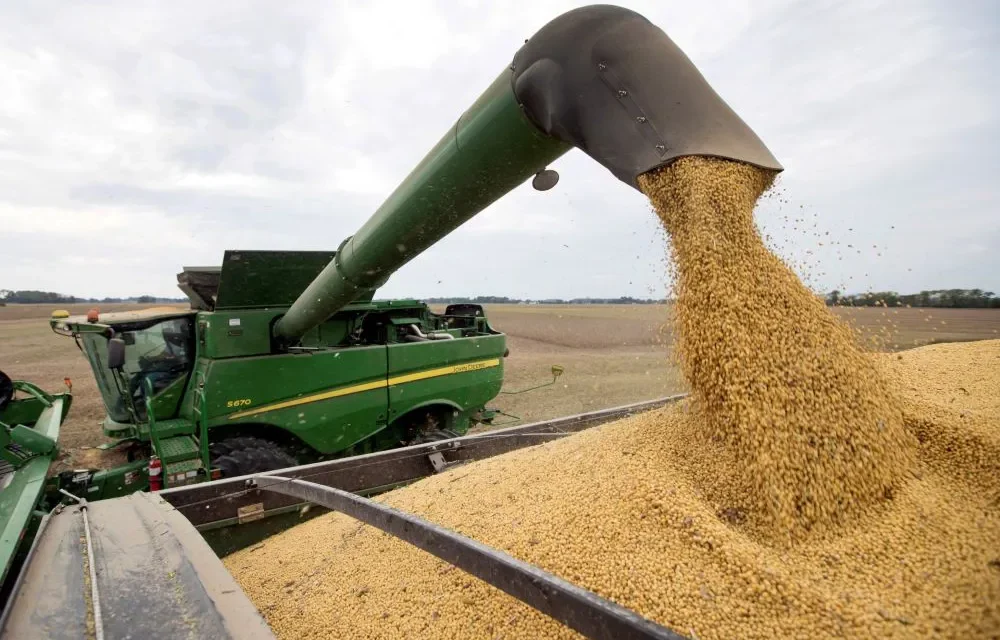 El campo declaró ventas por US$4.180 millones tras la eliminación de retenciones