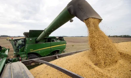 El campo declaró ventas por US$4.180 millones tras la eliminación de retenciones
