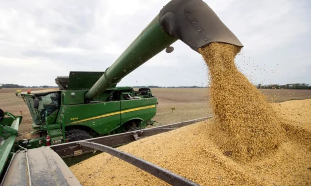 La eliminación de retenciones privará al Estado de mil millones de dólares equivalentes al 50% del superávit