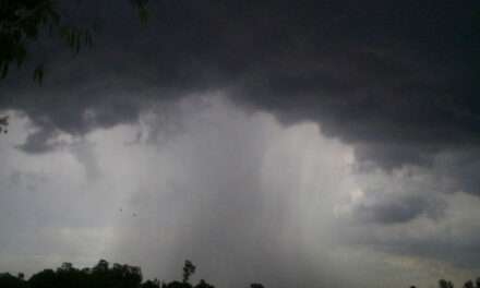 Alerta meteorológica por tormentas para este sábado en el sur, centro y este provincial