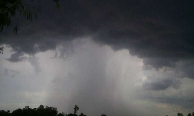 Alerta meteorológica por tormentas para este sábado en el sur, centro y este provincial