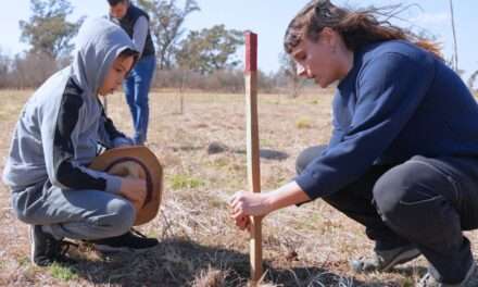Río Tercero: se realizó la plantación de 300 árboles nativos