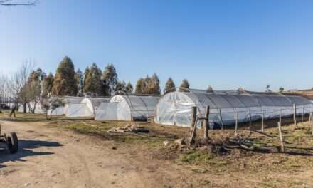 Calamuchita: Ambiente entregó fondos para la construcción de un Centro Verde y compra de maquinaria