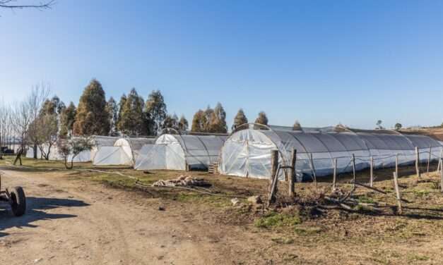 Calamuchita: Ambiente entregó fondos para la construcción de un Centro Verde y compra de maquinaria