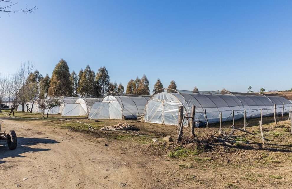 Calamuchita: Ambiente entregó fondos para la construcción de un Centro Verde y compra de maquinaria