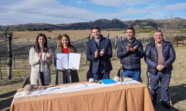 La Provincia presentó el Programa Viñedos Sostenibles para impulsar la producción vitivinícola responsable