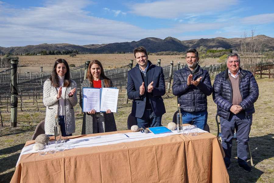 La Provincia presentó el Programa Viñedos Sostenibles para impulsar la producción vitivinícola responsable