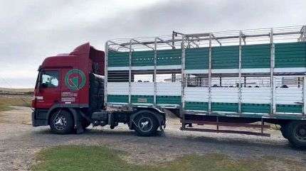 El Senasa habilitó los transportes “bitren” y multiespecie para animales vivos y productos de origen animal