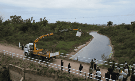 La Provincia instaló desviadores de vuelo en líneas eléctricas para proteger aves migratorias en Ansenuza