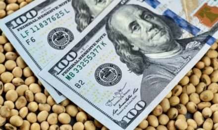 El campo liquidó US$32.426 millones y creció la exportación