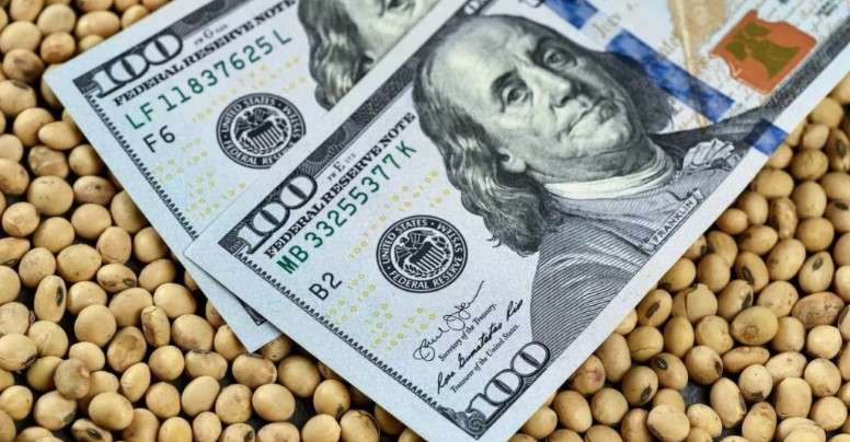 El campo liquidó US$32.426 millones y creció la exportación