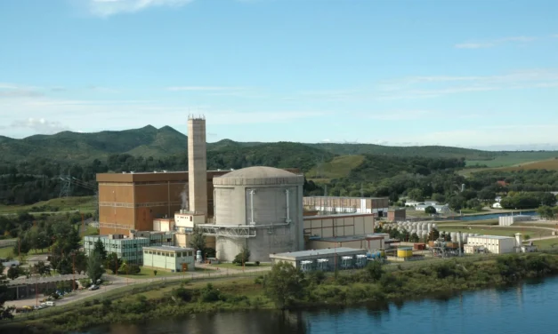 El Gobierno pone a la venta más empresas estatales: Milei oficializó la privatización de Nucleoeléctrica