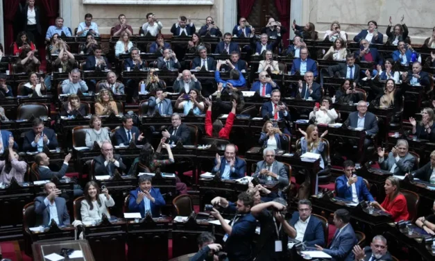 Con una amplia mayoría, Diputados ratificó la Emergencia Pediátrica y el Financiamiento Universitario