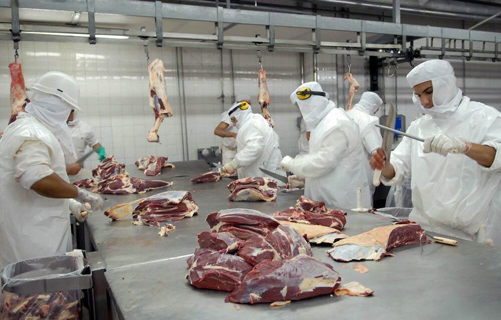 En búsqueda de dólares, Milei pausó las retenciones a las carnes avícolas y bovinas
