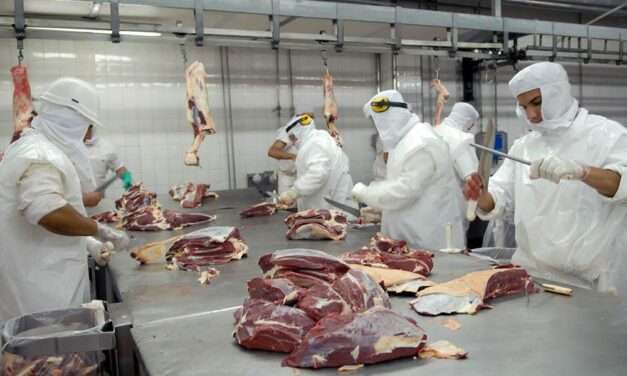 En búsqueda de dólares, Milei pausó las retenciones a las carnes avícolas y bovinas