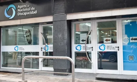 Senadores solicitan que la Auditoría General de la Nación investigue de manera «urgente» a la Andis