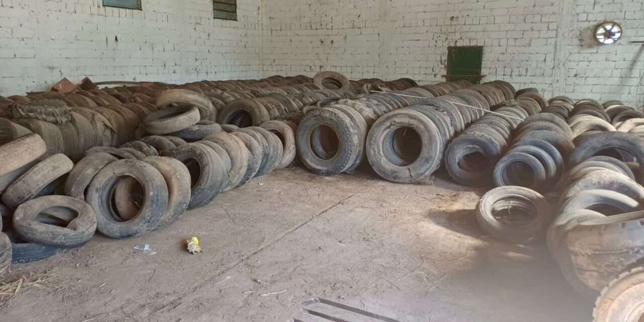 Monte de los Gauchos: Reciclaje de neumáticos fuera de uso