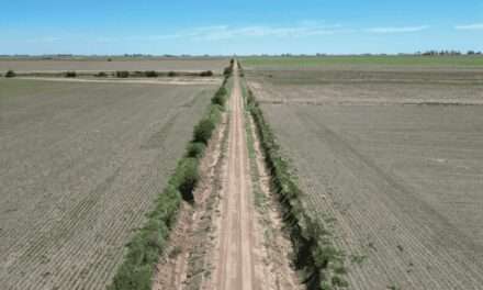 Dpto. Marcos Juárez: avanza en la reparación de caminos rurales