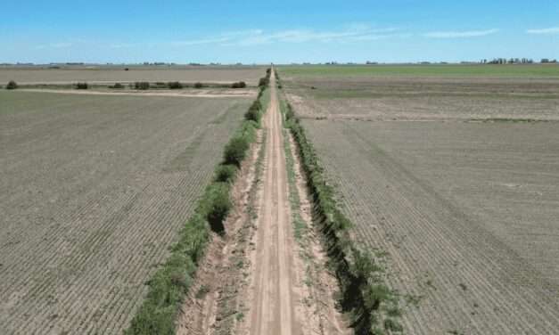 Dpto. Marcos Juárez: avanza en la reparación de caminos rurales