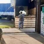 Adelia María entregó más de 5.000 envases fitosanitarios para su reciclado