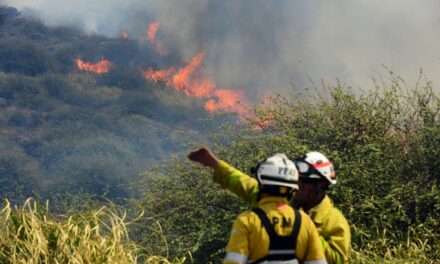 Bomberos continúan trabajando en distintos focos de incendio en la provincia