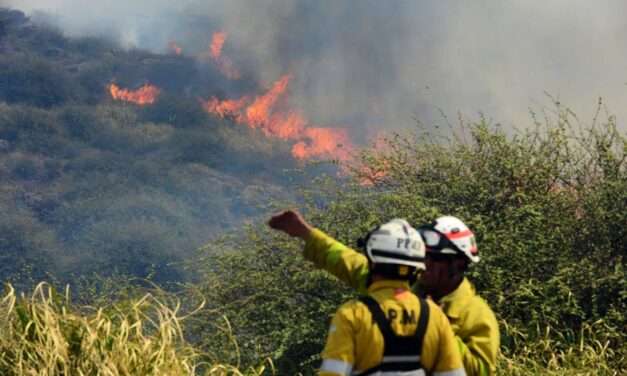 Bomberos continúan trabajando en distintos focos de incendio en la provincia