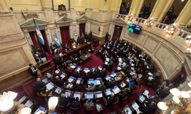 Sesión clave: el Senado busca desactivar hoy los vetos al financiamiento universitario y la emergencia en pediatría