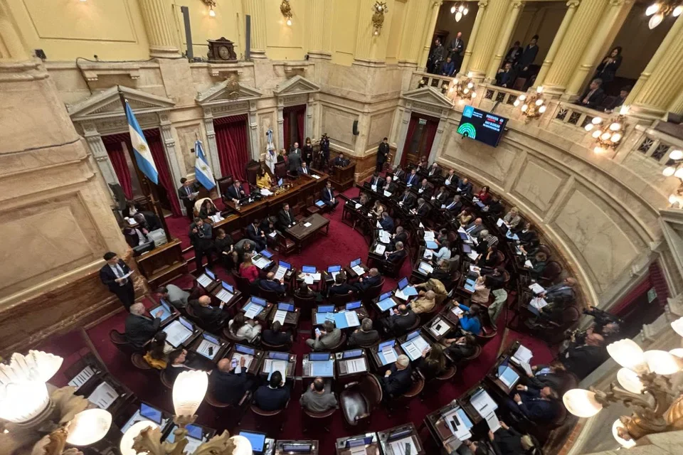 Sesión clave: el Senado busca desactivar hoy los vetos al financiamiento universitario y la emergencia en pediatría