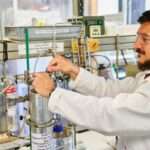 Innovación científica: convierten residuos de yerba mate en bioaceite con potencial industrial
