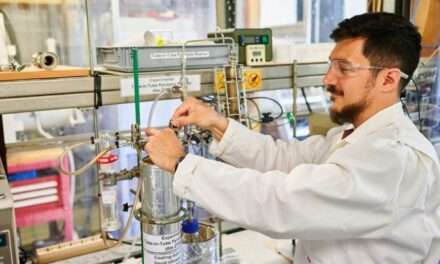 Innovación científica: convierten residuos de yerba mate en bioaceite con potencial industrial