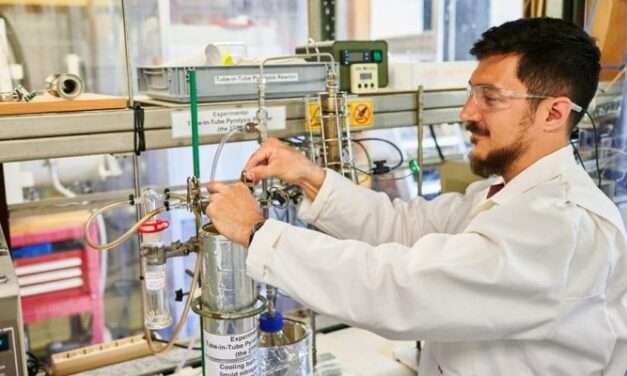 Innovación científica: convierten residuos de yerba mate en bioaceite con potencial industrial