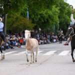 La Carlota celebró con gran convocatoria la 61ª edición de la Fiesta de la Tradición