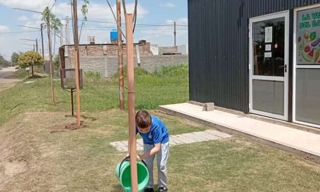 Villa María: el municipio plantó 65 nuevos árboles en Campos del Este