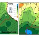 Soja: ¿ésta campaña puede parecerse a la del 2016/17?