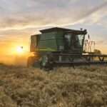 Productores trigueros viralizan imágenes de lo que consideran como una campaña excelente