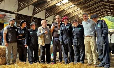 General Cabrera: Estudiantes del IPEA 291 compartieron en Chile sus aprendizajes en producción ovina