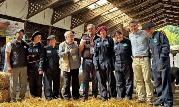 General Cabrera: Estudiantes del IPEA 291 compartieron en Chile sus aprendizajes en producción ovina