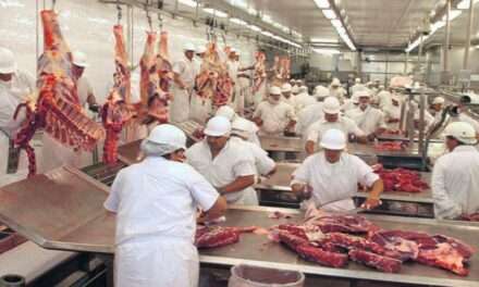 Argentina cuadruplicará la cuota de ingreso de carne vacuna hacia el mercado de los Estados Unidos.