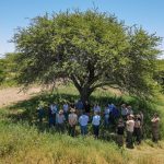 Córdoba, La Pampa y San Luis firmaron convenio para proteger el Caldén, especie única en el mundo