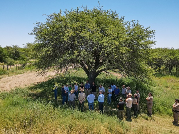 Córdoba, La Pampa y San Luis firmaron convenio para proteger el Caldén, especie única en el mundo
