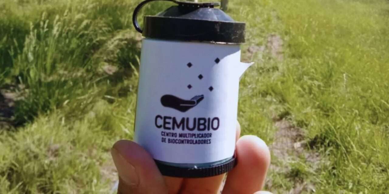 INTA exporta a Uruguay controladores biológicos para aplicar en frutales